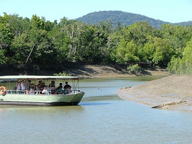 Whitsunday Crocodile Safari from Airlie Beach including Lunch