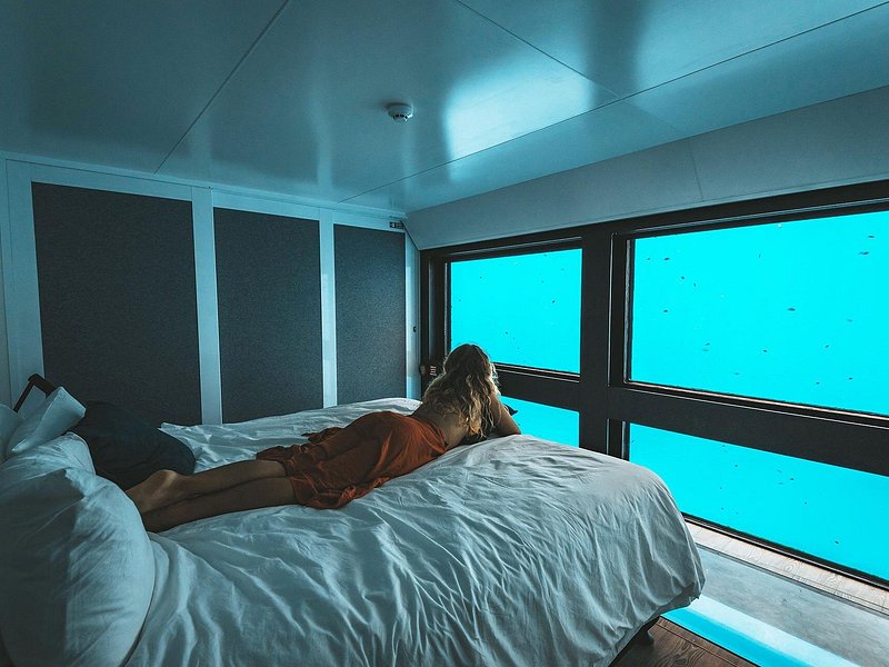 2 Day Great Barrier Reef “Reefsuites” Experience
